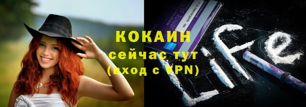 стаф Арсеньев