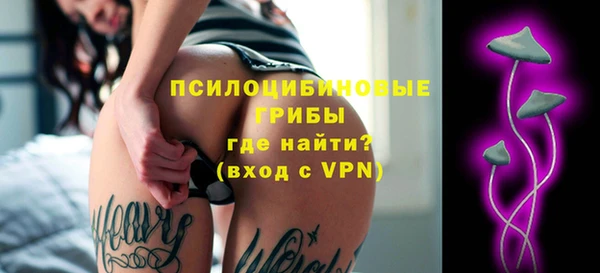 стаф Арсеньев